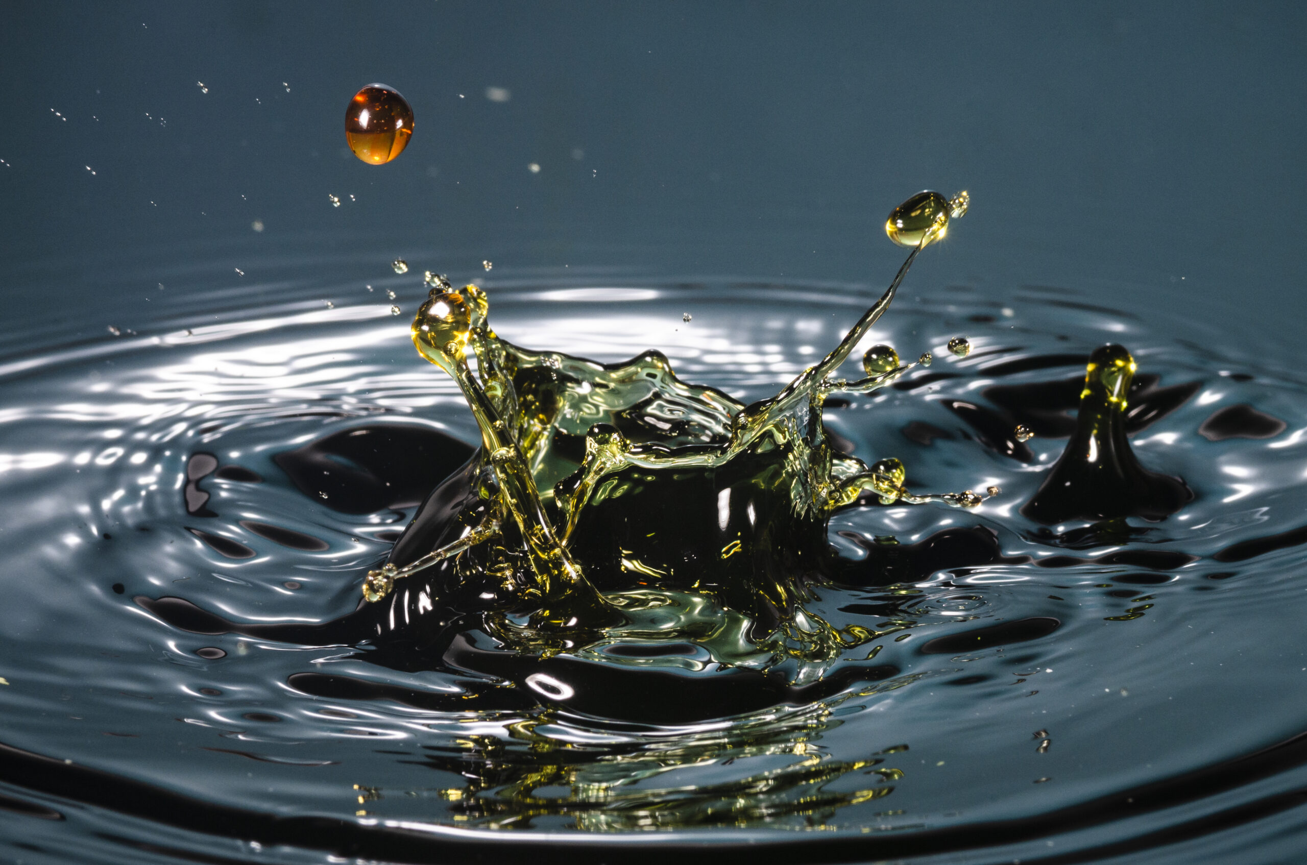 Biodiesel