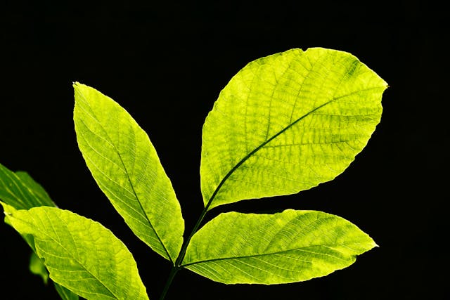 o-que-e-sustentabilidade-conceito-pilares-e-exemplos-praticos-mercado-e-opiniao o-que-e-sustentabilidade-conceito-pilares-e-exemplos-praticos-mercado-e-opiniao